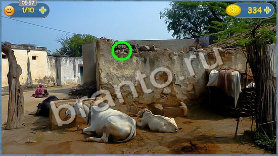 Где кот игра ответы