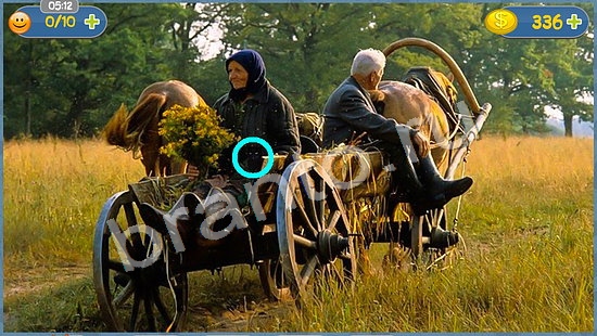 игра в одноклассниках Где кот ответы