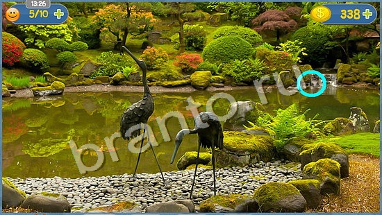 Где кот помощь в картинках