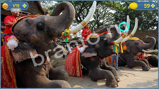 Где кот? решения уровень 1252