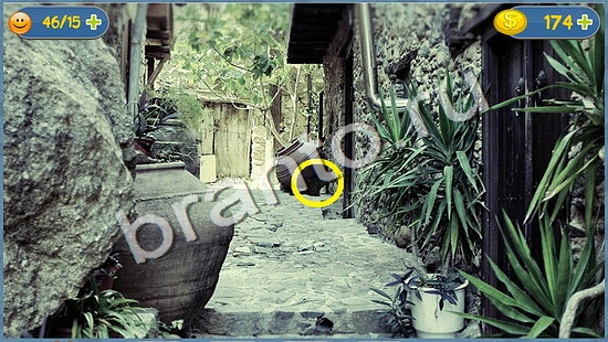 игра в одноклассниках Где кот ответы