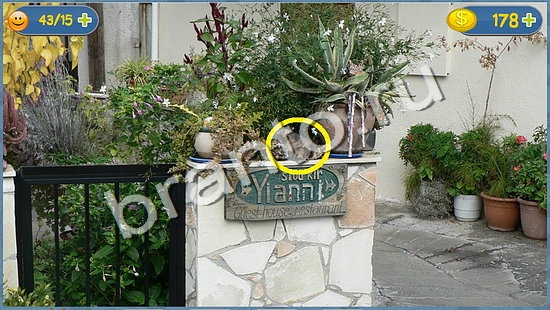 ответы на игру Где кот в скриншотах