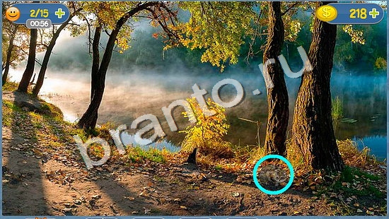 Решения на игру Где кот уровень 1363