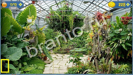 Где кот? ответы уровень 1368