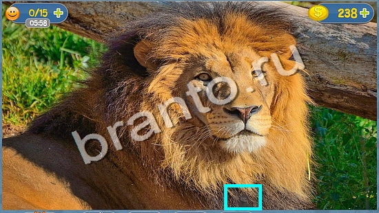 Где кот игра ответы уровень 1373