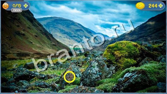 Где кот ответы в картинках уровень 1376