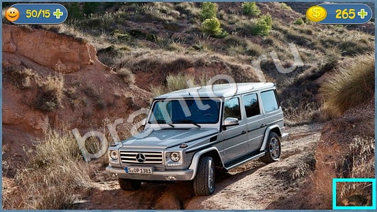 ответы Где кот? в одноклассниках