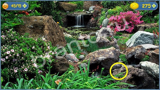 Где кот помощь в картинках