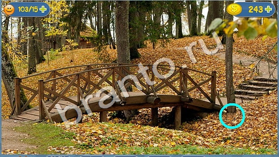 Где кот прохождение игры