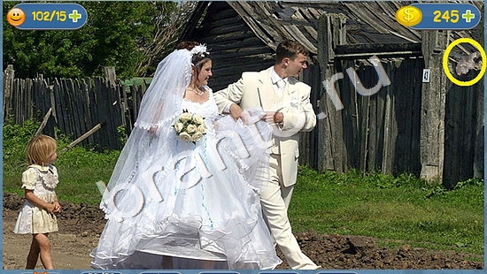 ответы на игру Где кот в одноклассниках