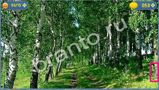 ответы на игру Где кот в скриншотах