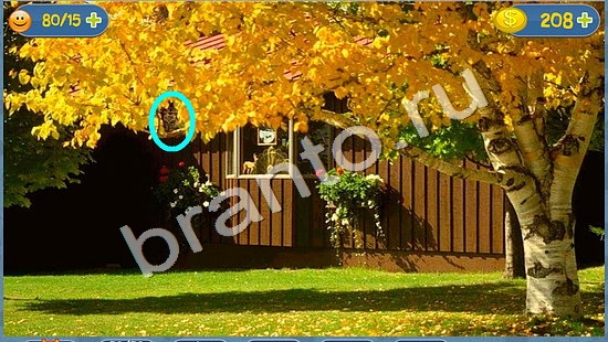 Помощь на игру Где кот уровень 1524