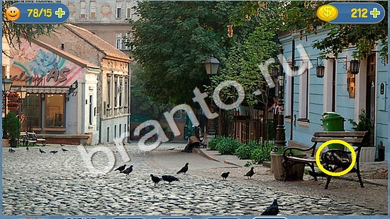 ответы на игру в одноклассниках Где кот уровень 1526