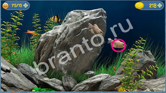 Где кот? подсказки уровень 1529