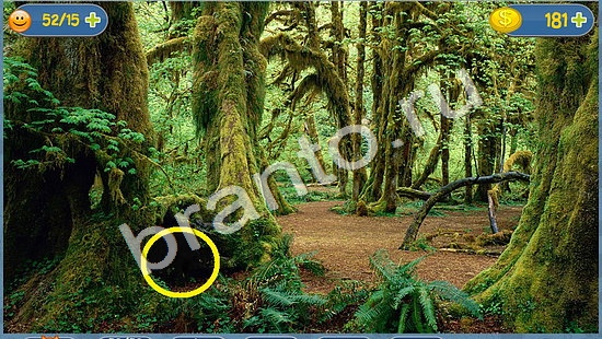 игра в одноклассниках Где кот ответы