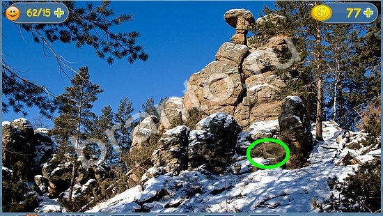 Где кот? помощь уровень 1650