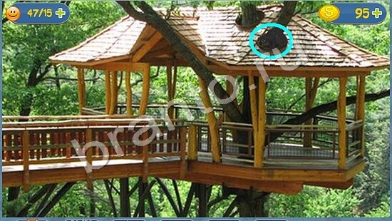 игра Где кот помощь уровень 1659