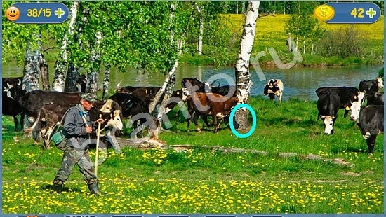 ответы для игры Где кот