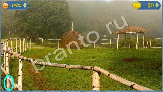 Где кот помощь в картинках