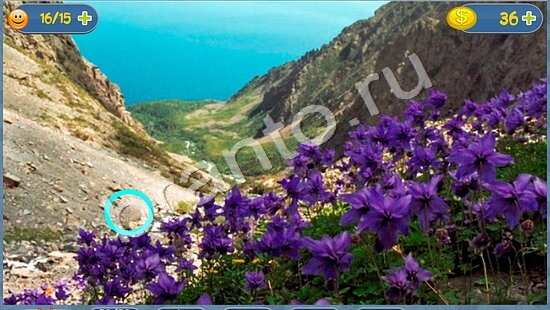 Где кот игра ответы в одноклассниках уровень 1687