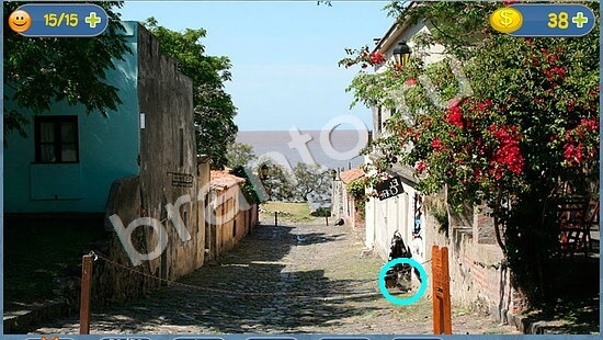 Где кот? ответы уровень 1688