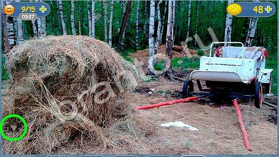 Где кот игра ответы уровень 1693