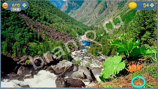 Где кот ответы в картинках уровень 1696