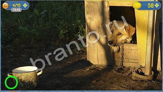 Игра Где кот подсказки уровень 1698