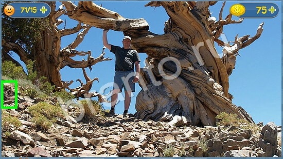 прохождение на игру Где кот эпизод 86