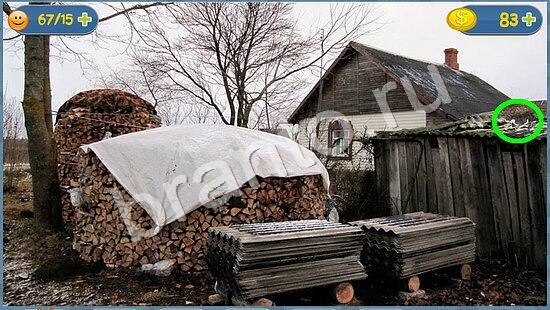 ответы Где кот