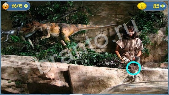 ответы Где кот? в одноклассниках