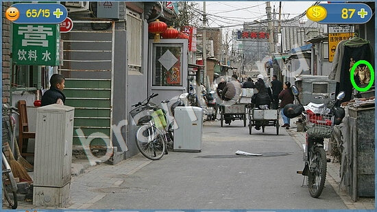 ответы для игры Где кот