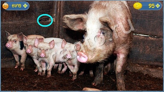 Где кот помощь в картинках