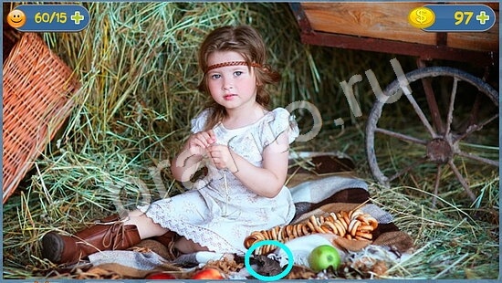 ответы на игру Где кот в скриншотах