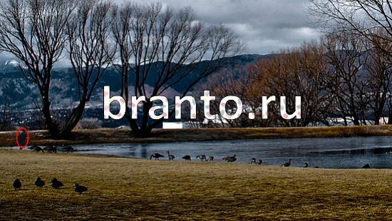 Где же кот? подсказки Уровень 129