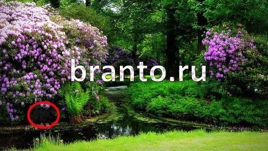 решебник на игру Где же кот Уровень 131