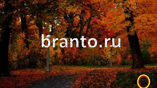 Где же кот? решения Уровень 132