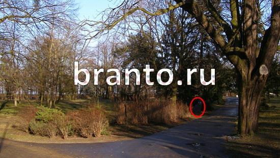 Где же кот игра ответы Уровень 133