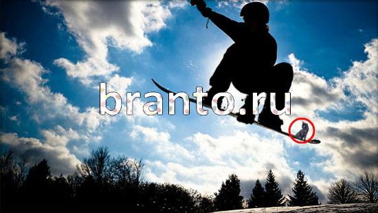 ответы на игру Где же кот в одноклассниках Уровень 143