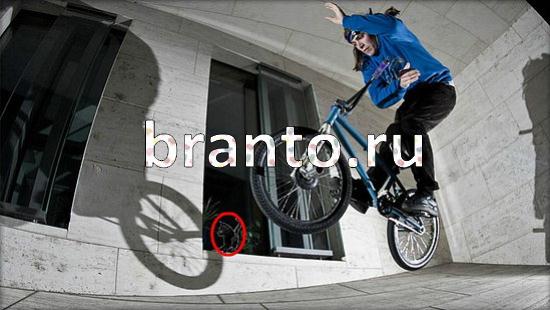 ответы Где же кот Уровень 145