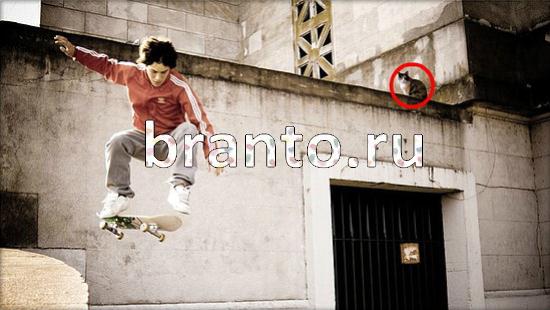 решения для игры Где же кот Уровень 148