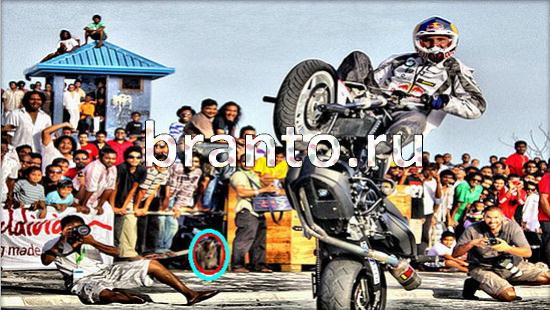 Где же кот помощь в картинках Уровень 151