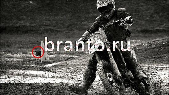 ответы на игру Где же кот Уровень 153