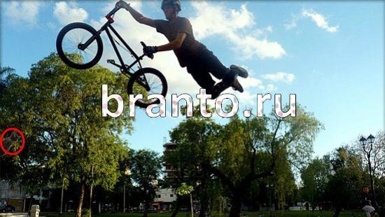 ответы на игру Где же кот Уровень 154