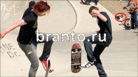 ответы на игру Где же кот Уровень 156