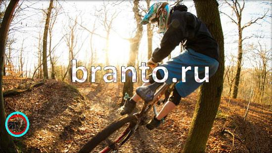 ответы на игру Где же кот Уровень 157