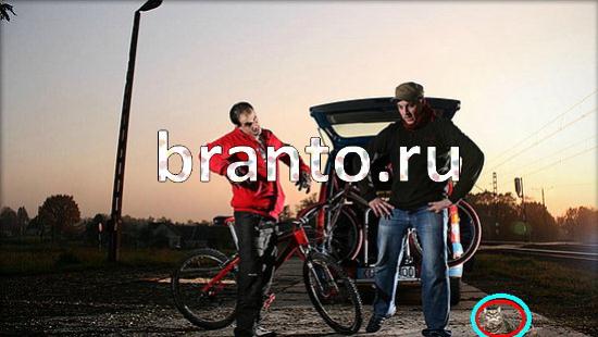 ответы на игру Где же кот Уровень 160