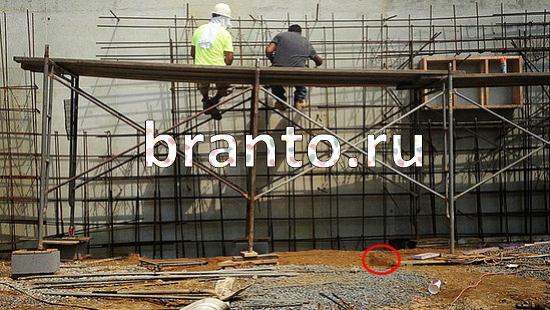 ответы на игру Где же кот Уровень 161