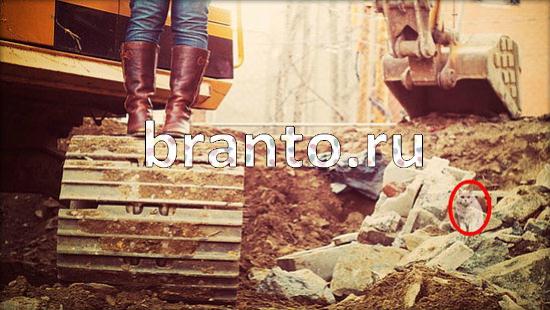 ответы к игре Где же кот Уровень 165