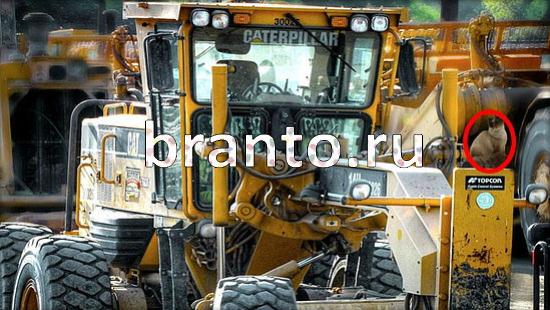 ответы на игру в одноклассниках Где же кот Уровень 166